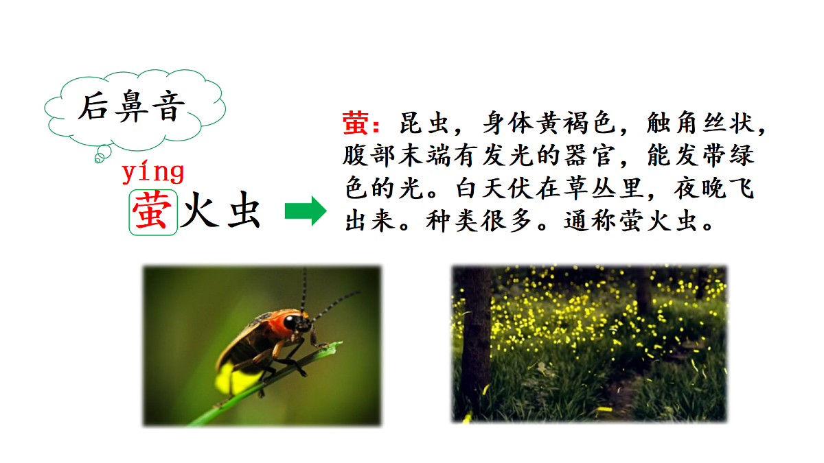 18571131第7页