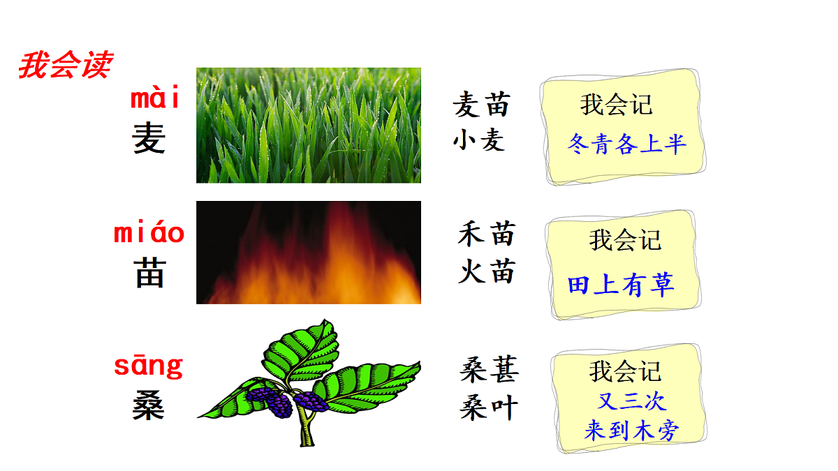 18571290第4页