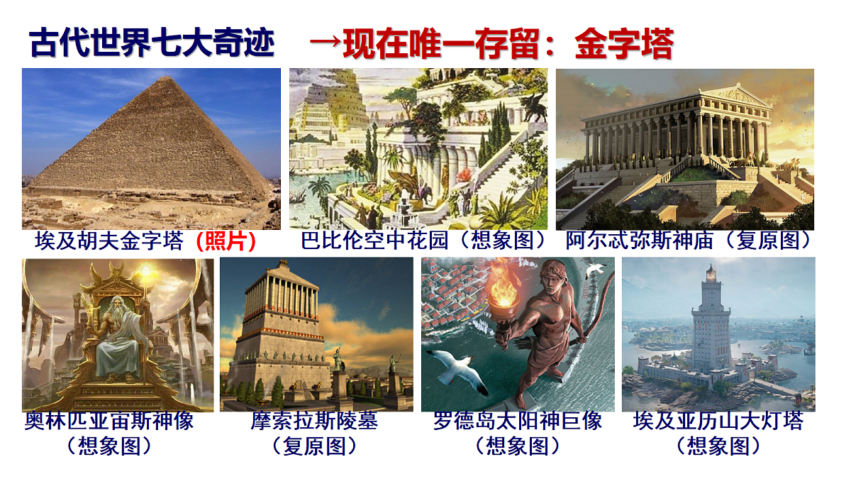 18571564第3页