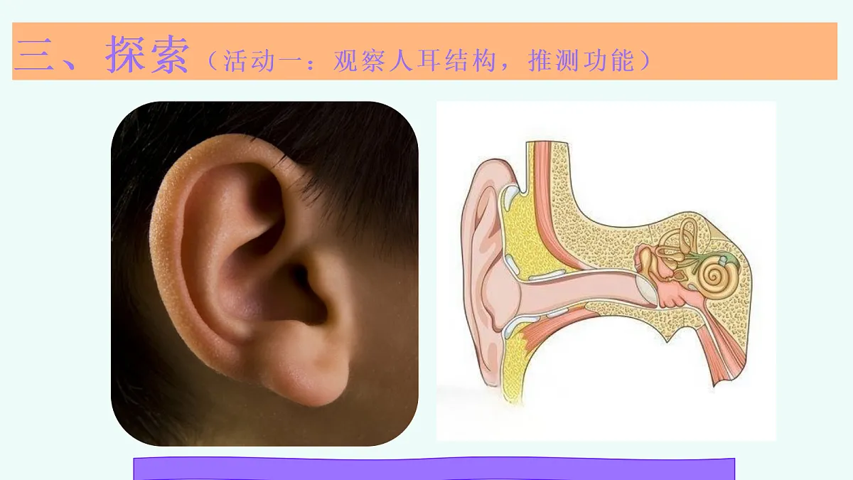 18571650第7页