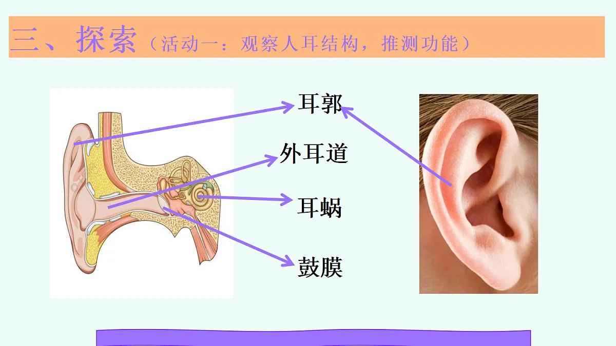18571650第8页