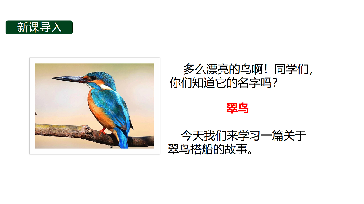 18571809第2页