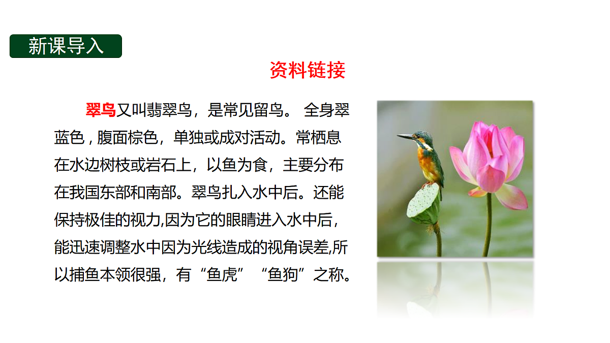 18571809第3页