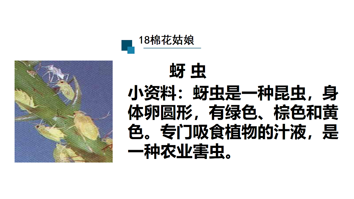 18571844第5页