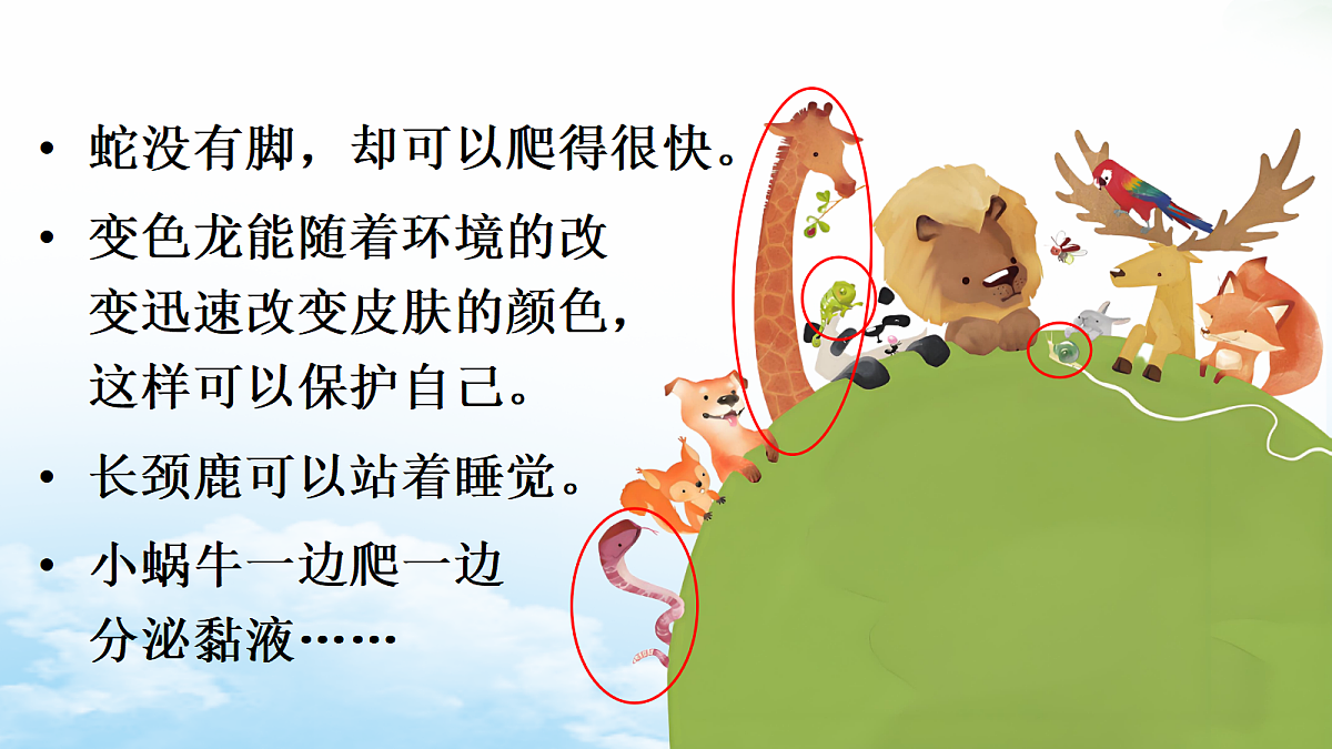 18573455第3页