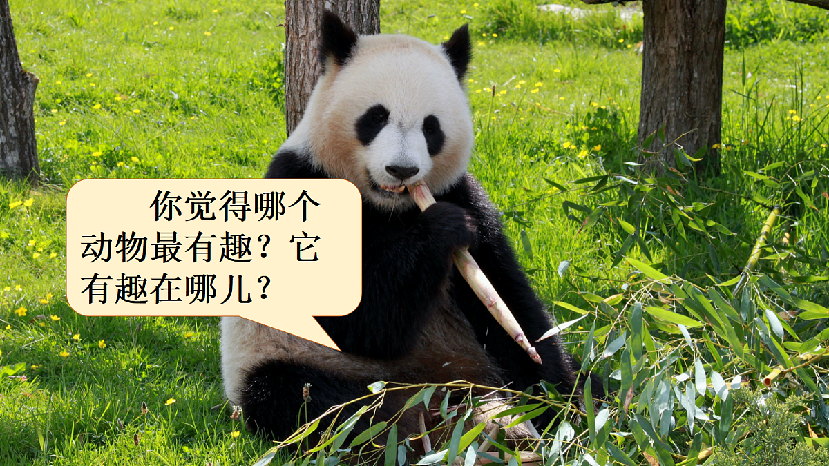 18573457第3页