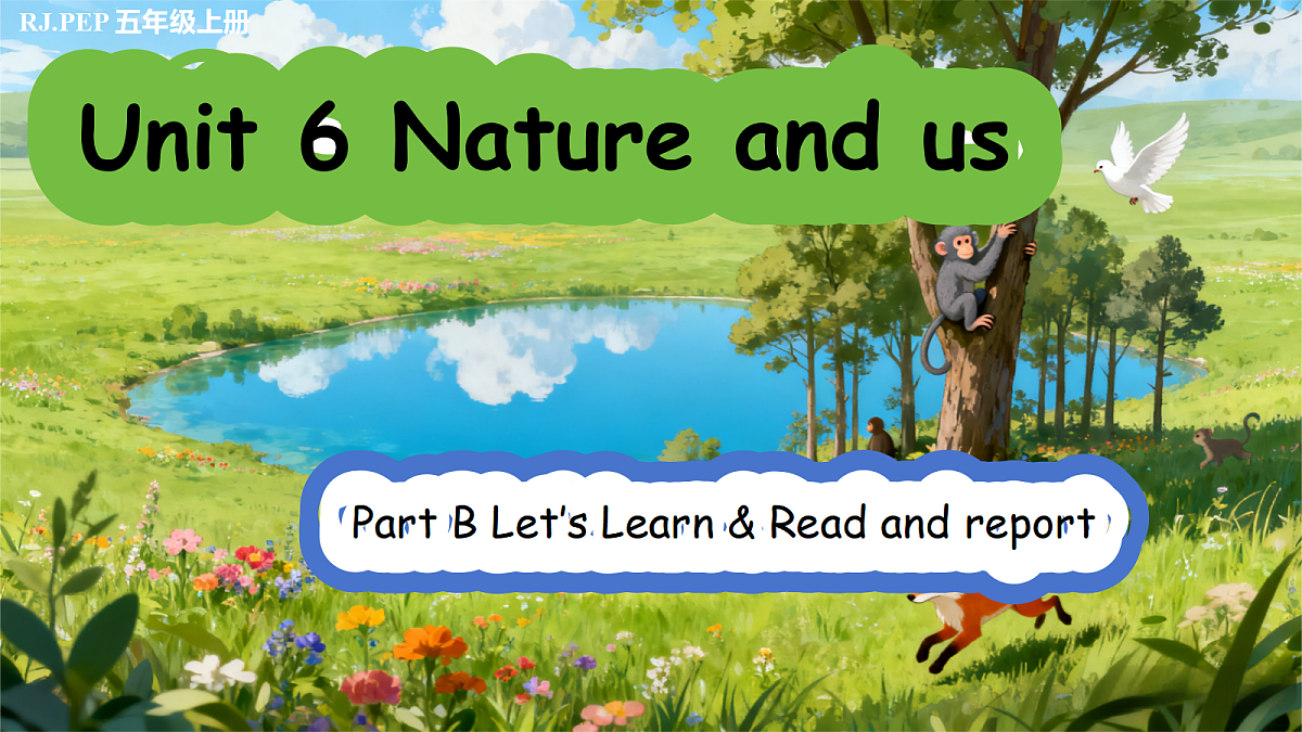 Unit 6 第5课时 Part B Let’s learn&Read and report(教学课件)英语人教PEP版五年级上册（新教材）第1页