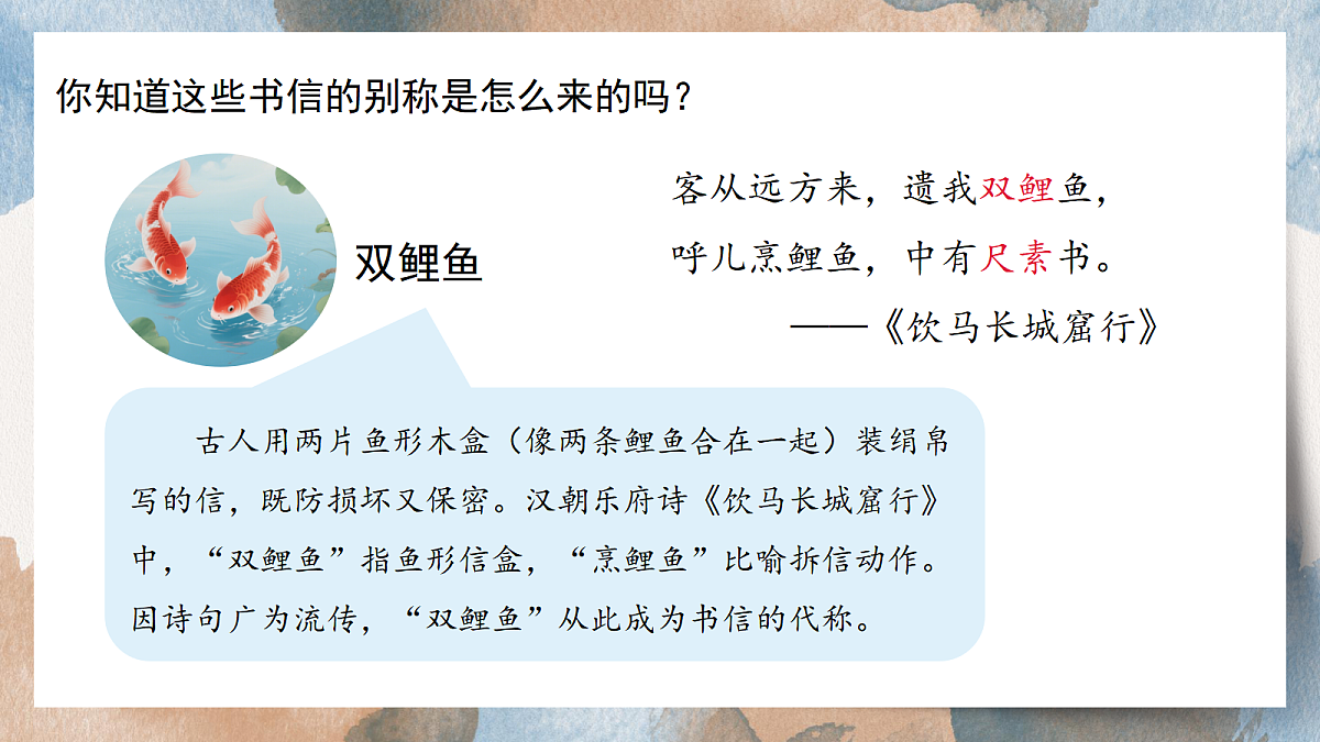 18576381第3页