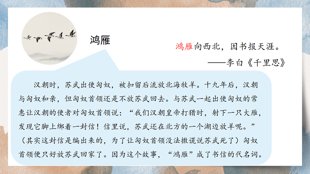 18576381第5页