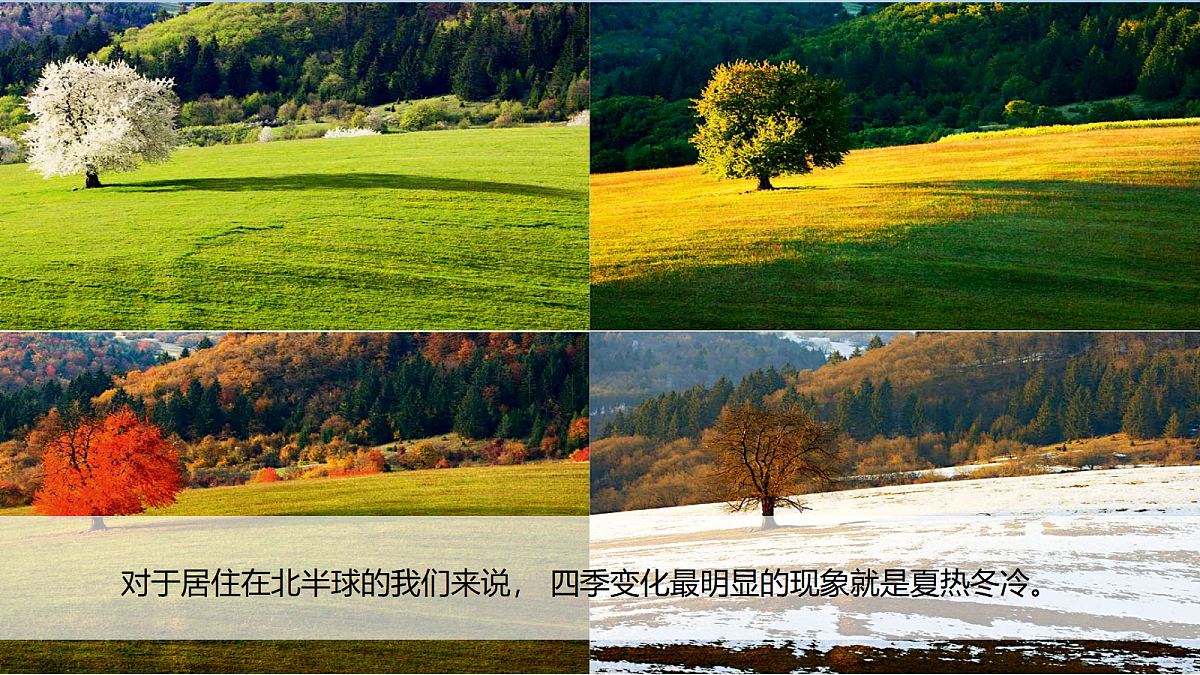 18578563第2页