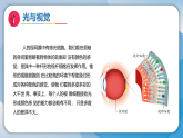 第二单元《光 科学阅读》课件-2026-2027学年科学六年级上册（教科版2024）