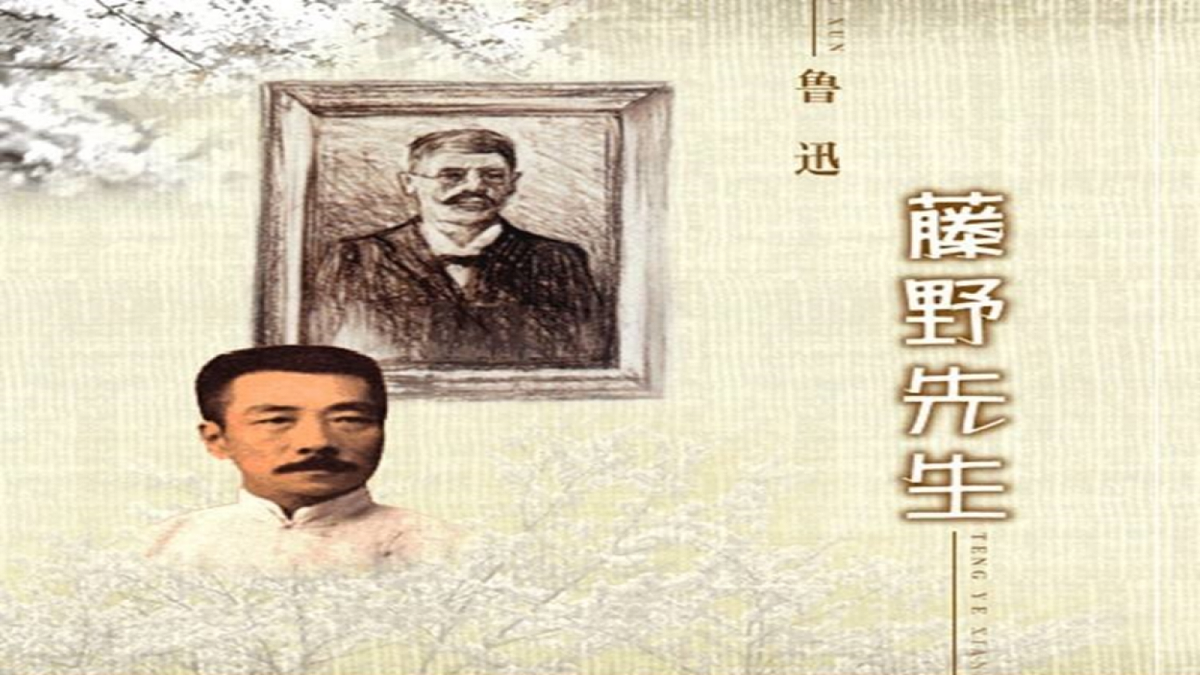 18582356第3页
