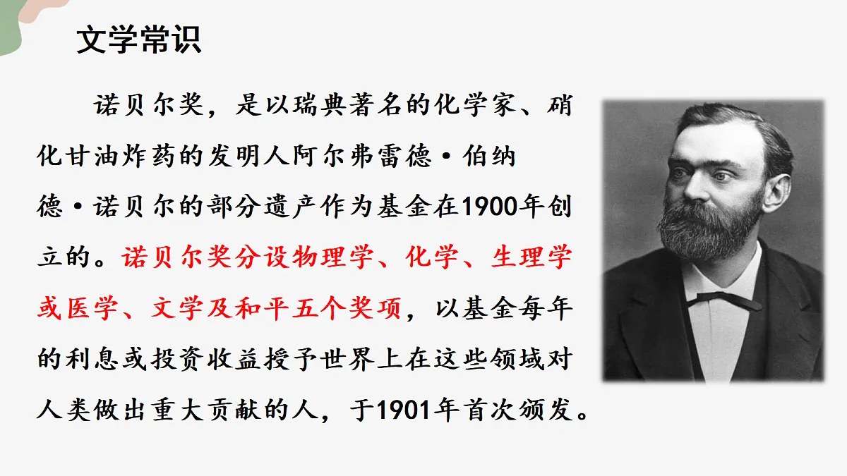 18582438第4页