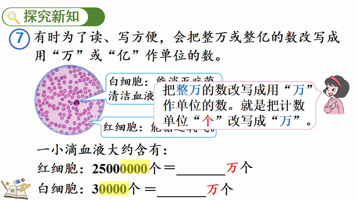 18582562第3页