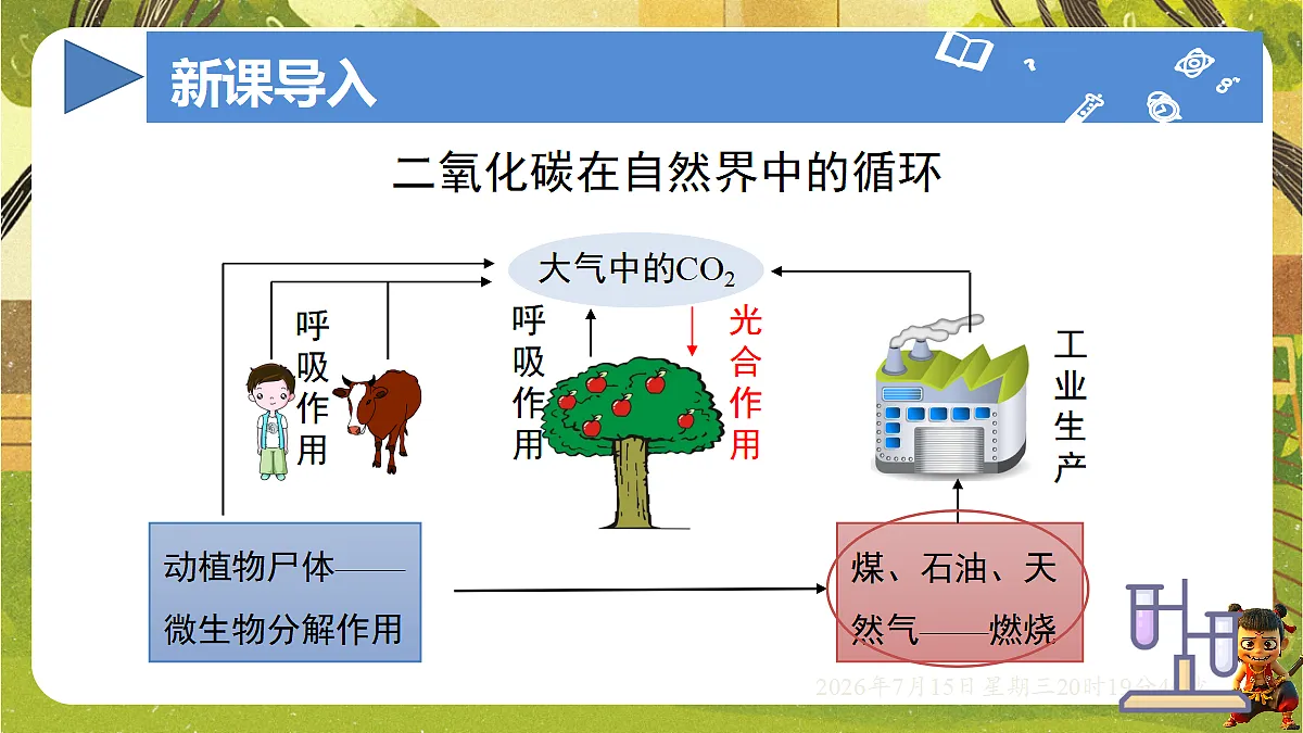 18583570第3页