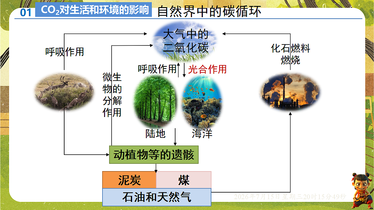 18583574第3页