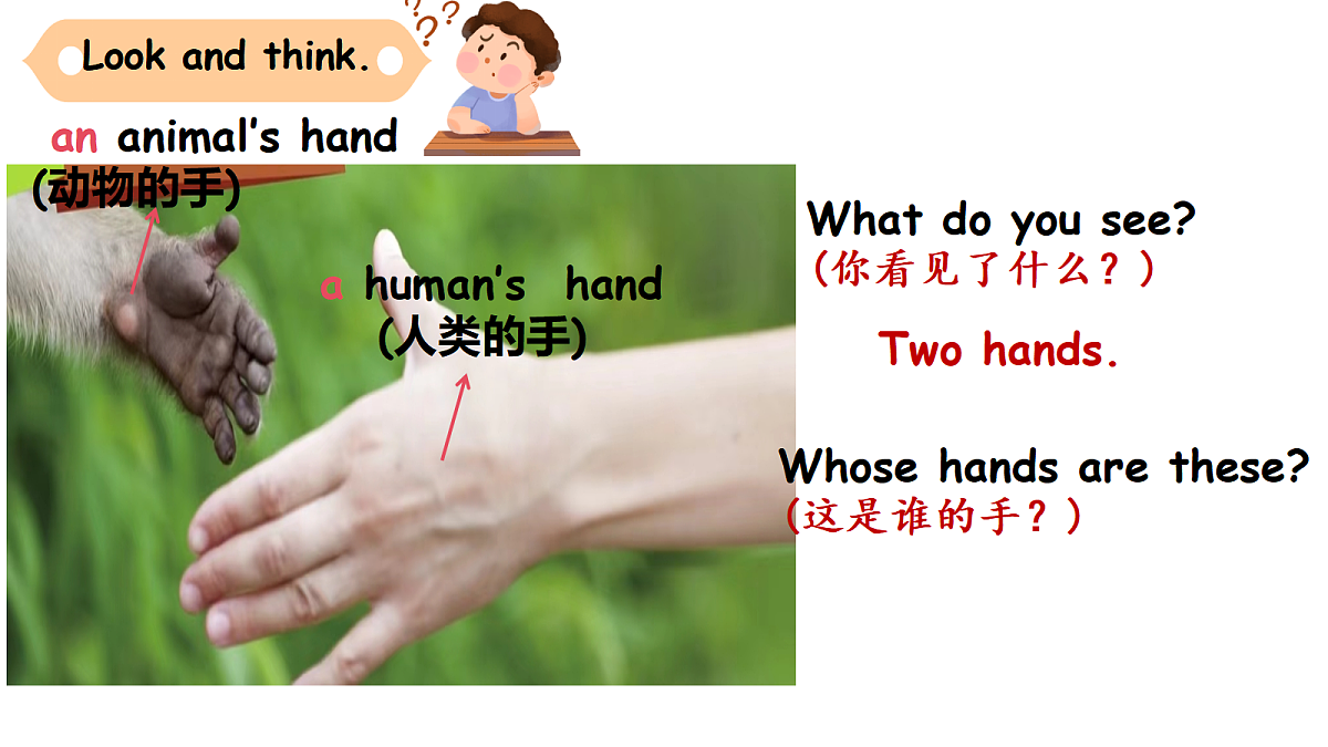 18584309第3页