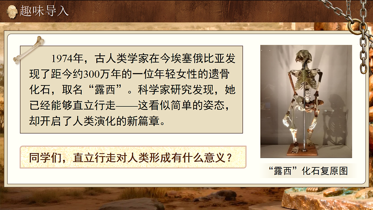 18584897第7页