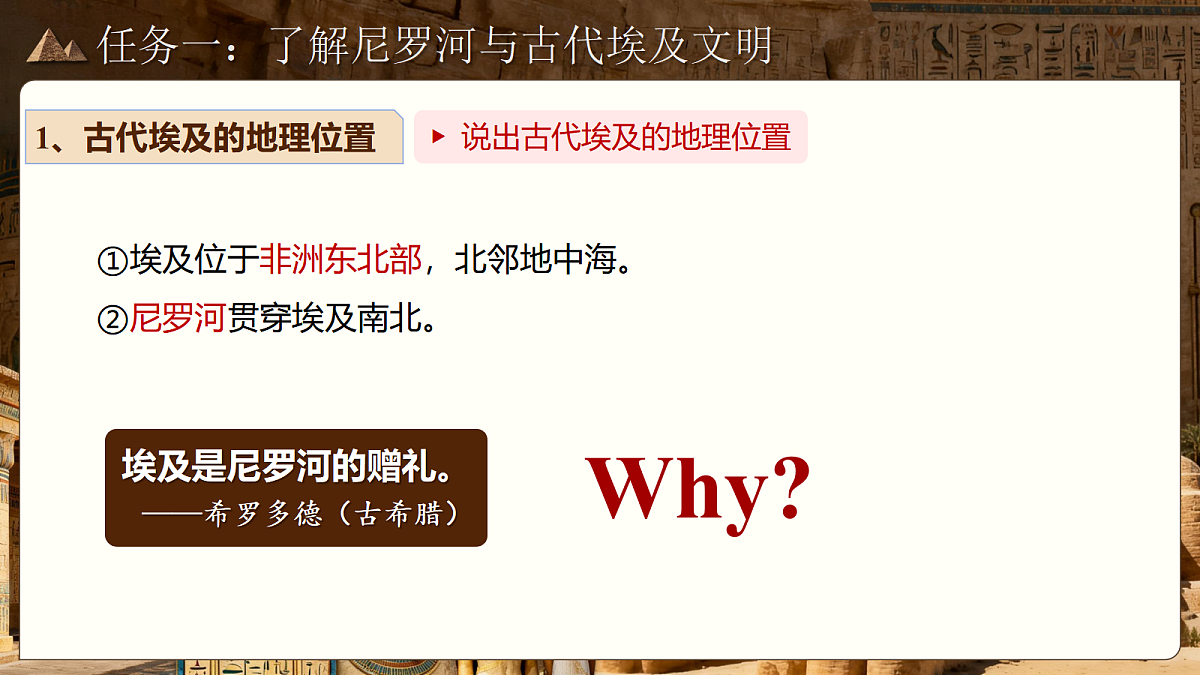 18584899第3页