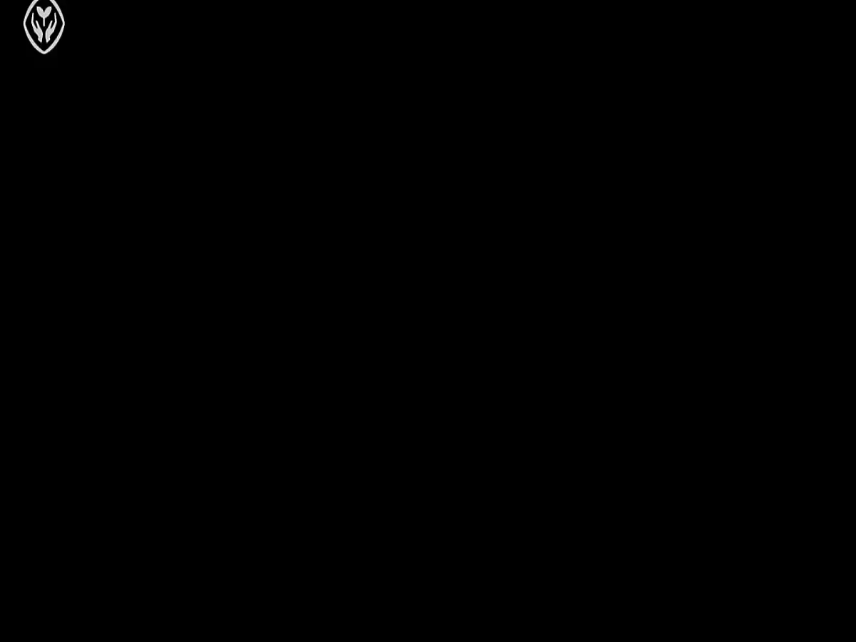 18586247第3页