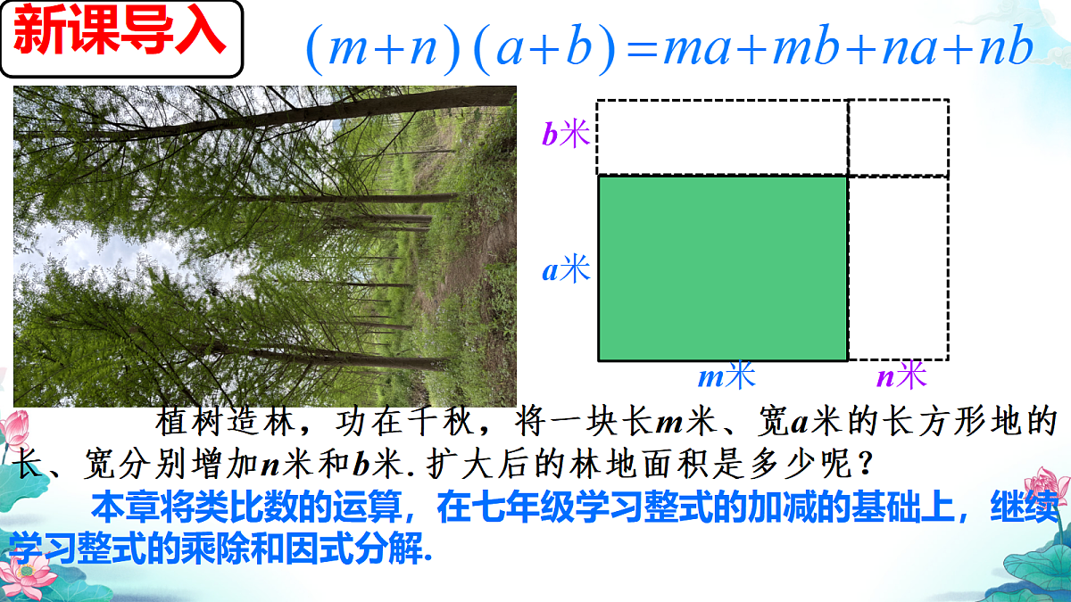 18586576第1页
