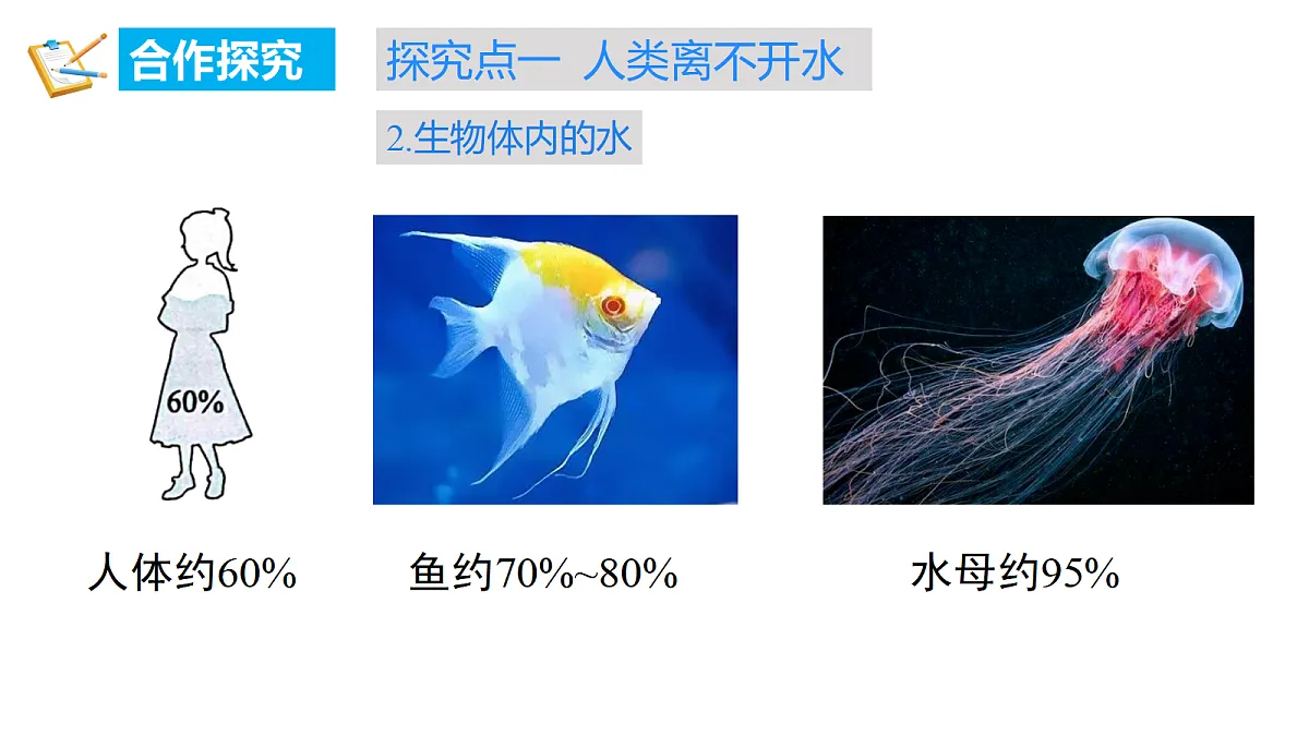 18588969第6页