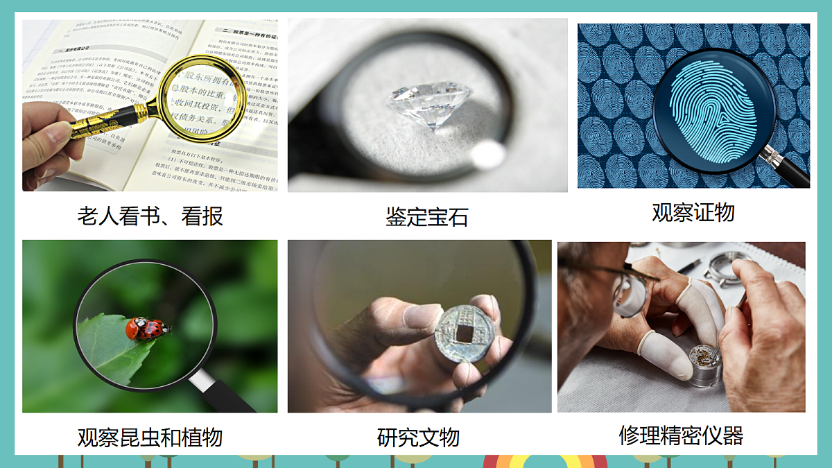 1.1 研究放大镜 - 小学科学五级上册 同步教学课件（教科版2024）第2页