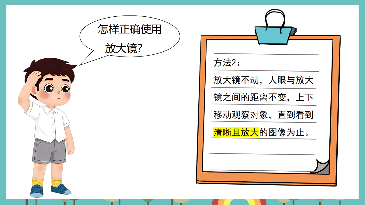 1.1 研究放大镜 - 小学科学五级上册 同步教学课件（教科版2024）第4页