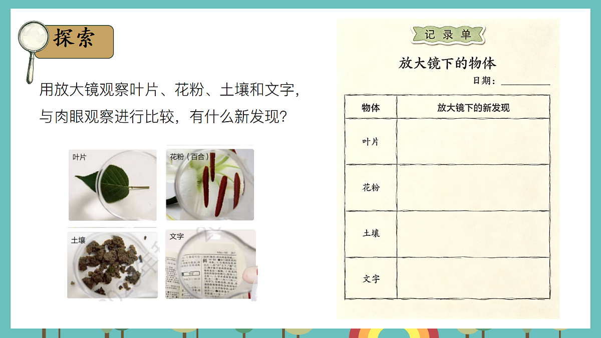 1.1 研究放大镜 - 小学科学五级上册 同步教学课件（教科版2024）第5页