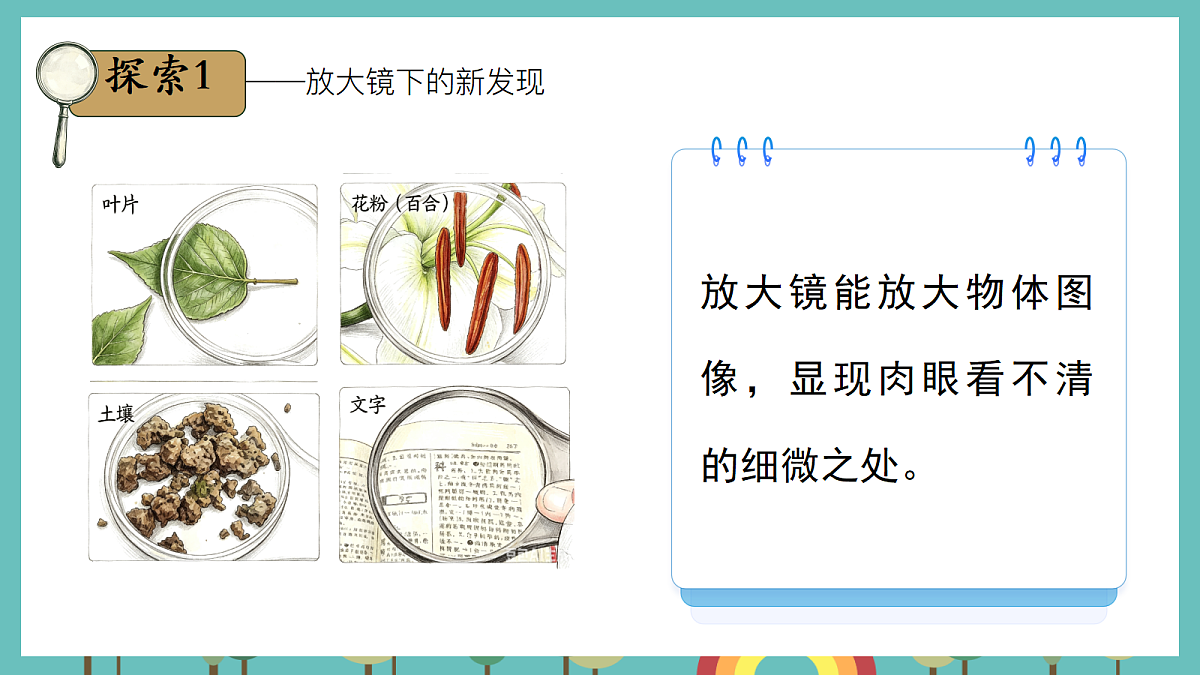 1.1 研究放大镜 - 小学科学五级上册 同步教学课件（教科版2024）第6页