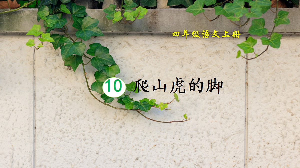 18589606第2页