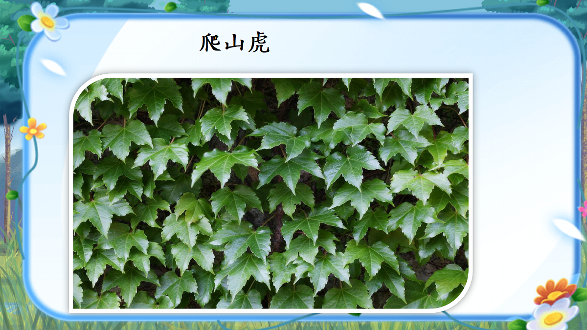 18589606第4页