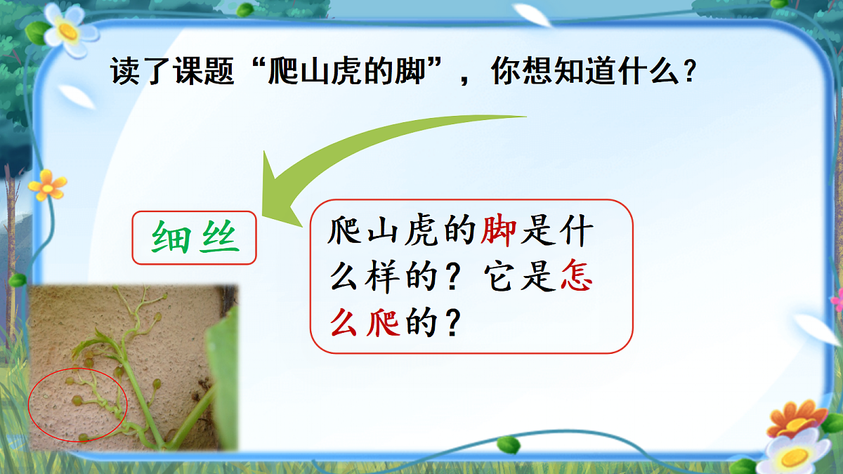 18589606第5页