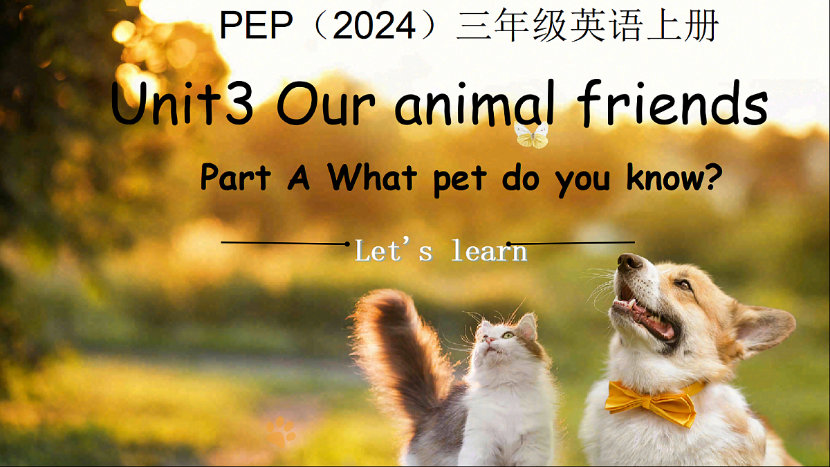 18591063第1页