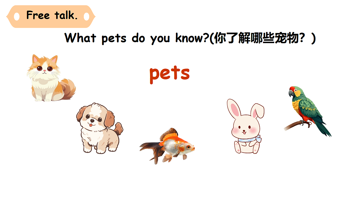 18591063第6页