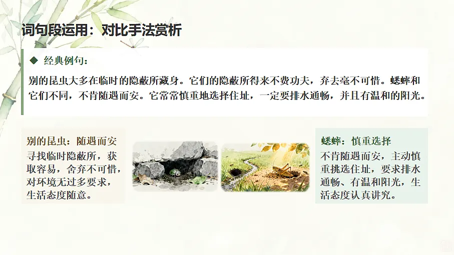 18592941第7页