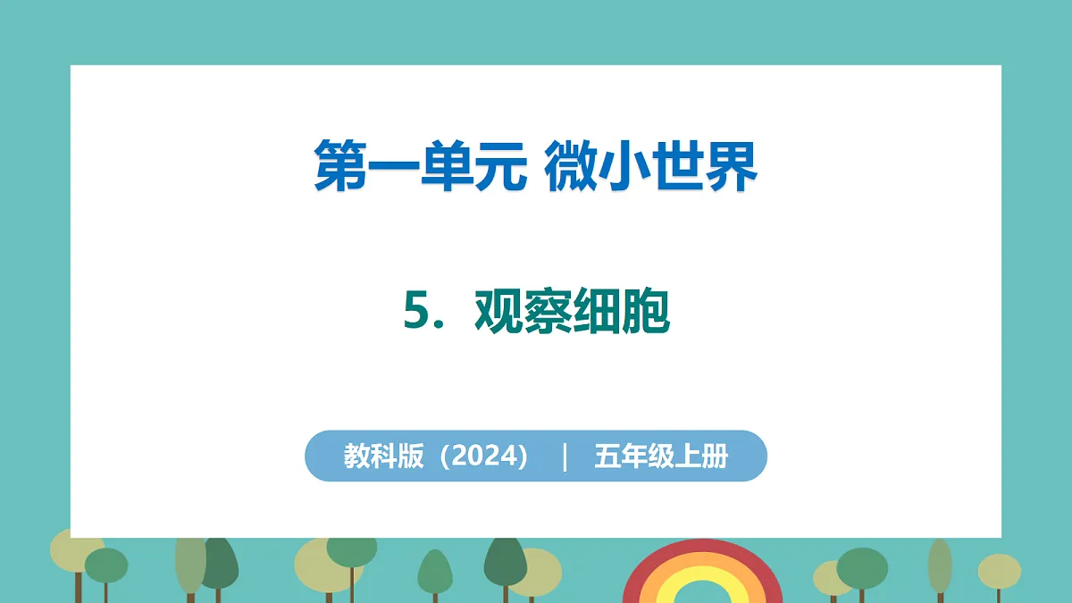 1.5 观察细胞 - 小学科学五级上册 同步教学课件（教科版2024）第1页