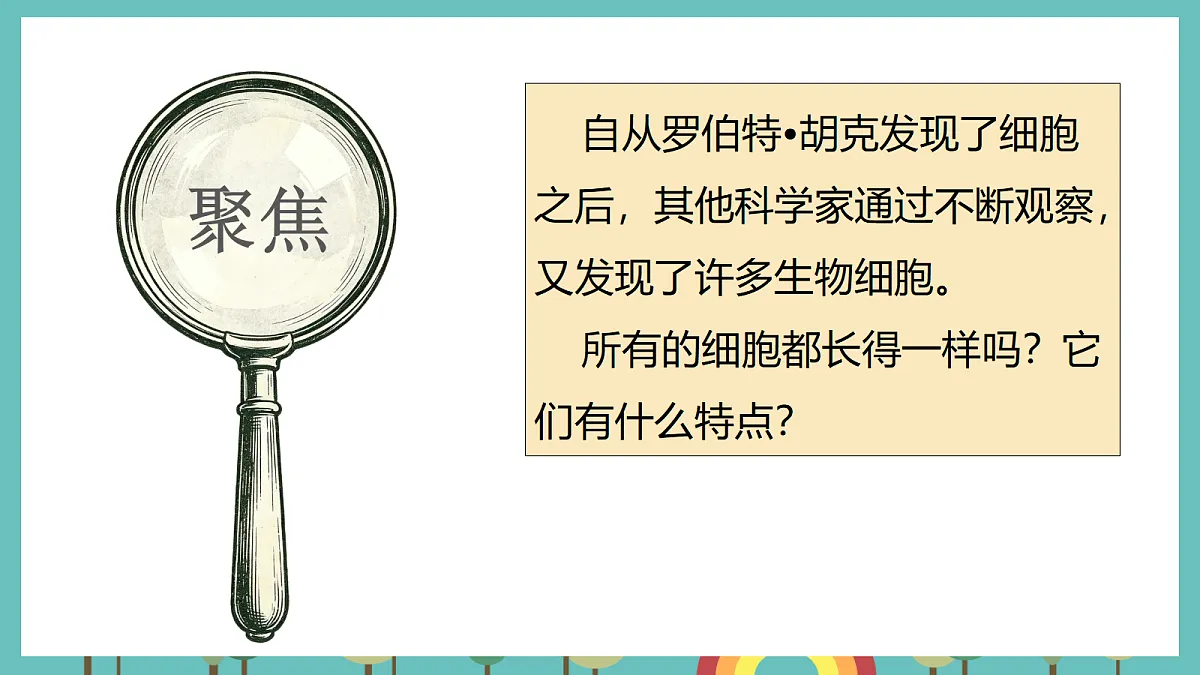 1.5 观察细胞 - 小学科学五级上册 同步教学课件（教科版2024）第3页