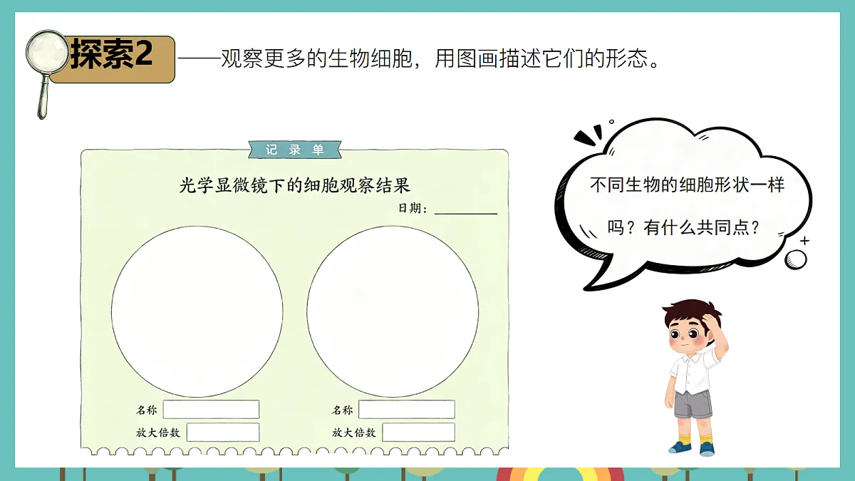 1.5 观察细胞 - 小学科学五级上册 同步教学课件（教科版2024）第8页