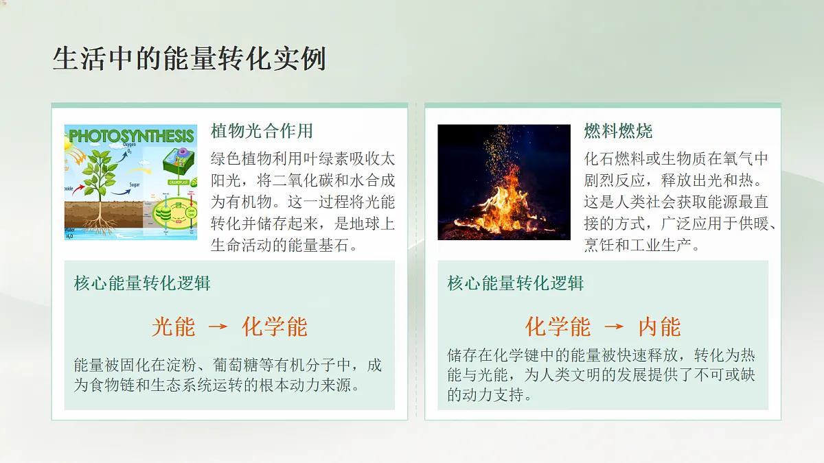 18596455第7页