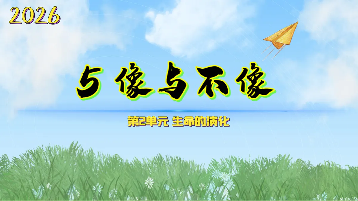 18597655第1页