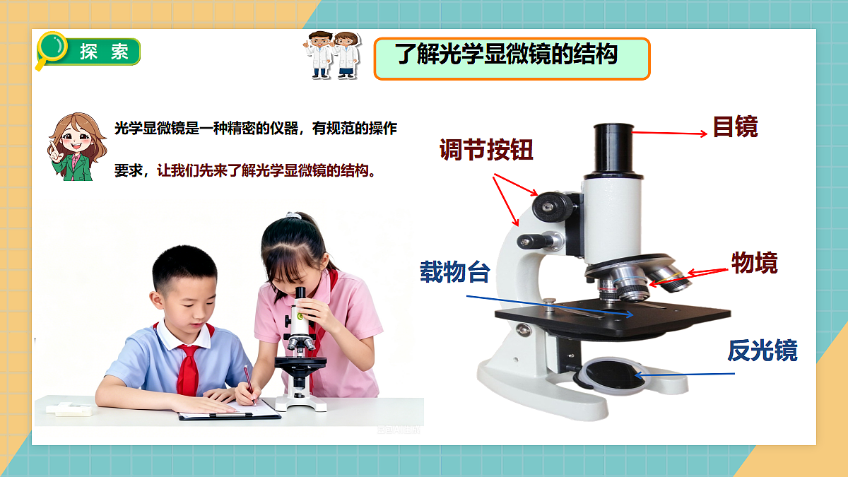 1.4用光学显微镜观察第4页