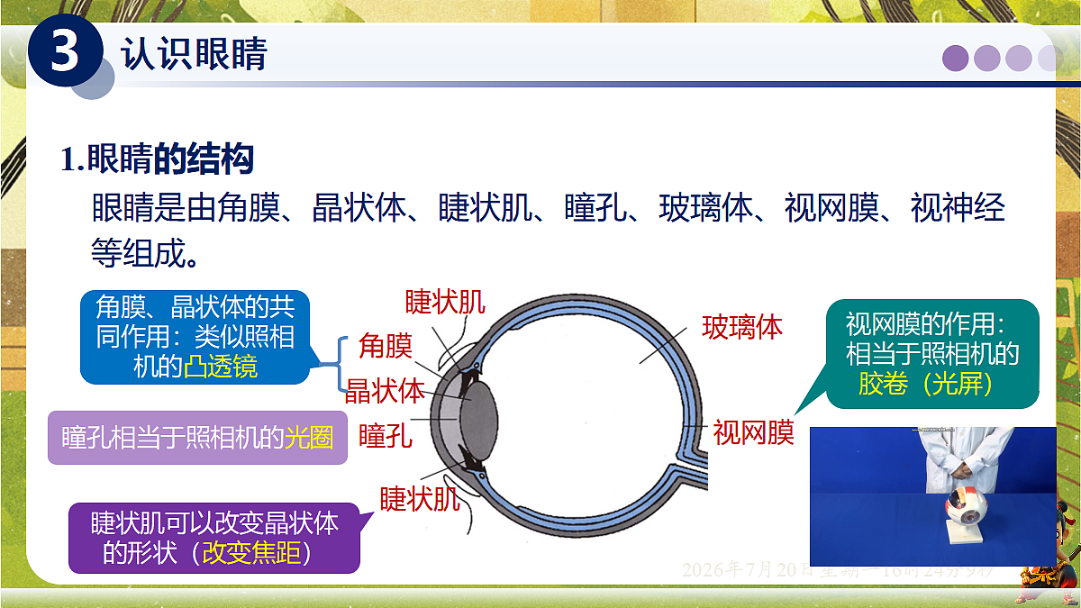 18599689第4页
