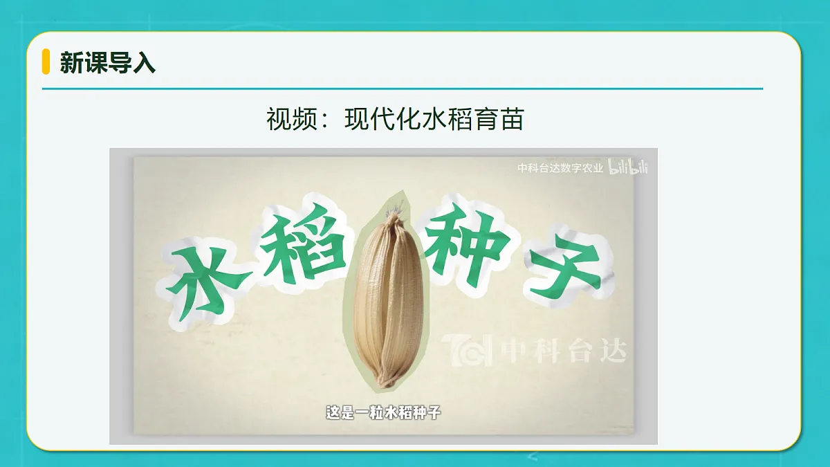 小学数学人教版六年级上册-2.2 一个数乘分数 (课件）第8页