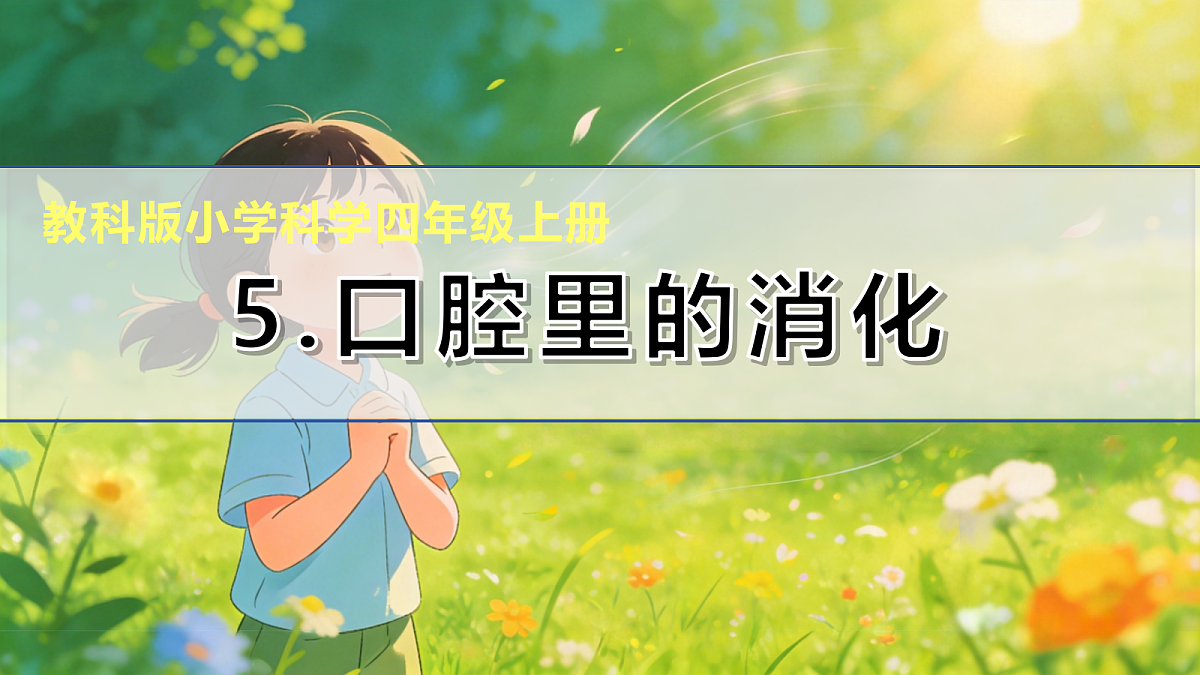 18600678第1页