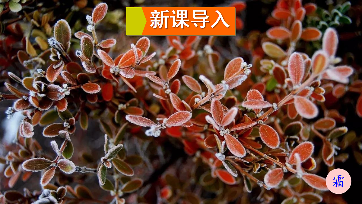 18601890第3页