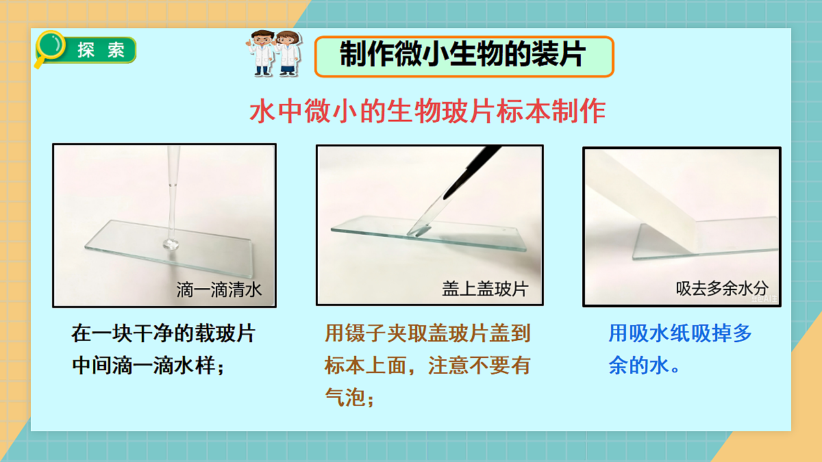 1.6观察水中微小生物第4页