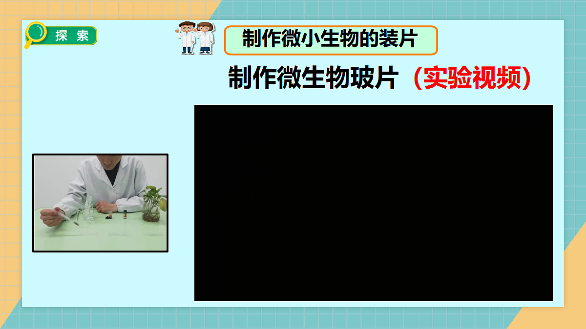 1.6观察水中微小生物第5页