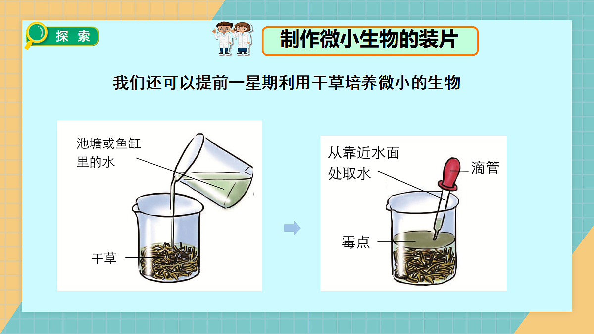 1.6观察水中微小生物第6页