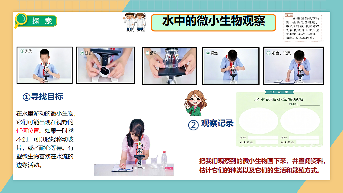 1.6观察水中微小生物第7页